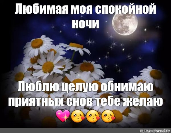 Спокойной ночи любимая моя