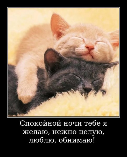Спокойной ночи люблю целую обнимаю
