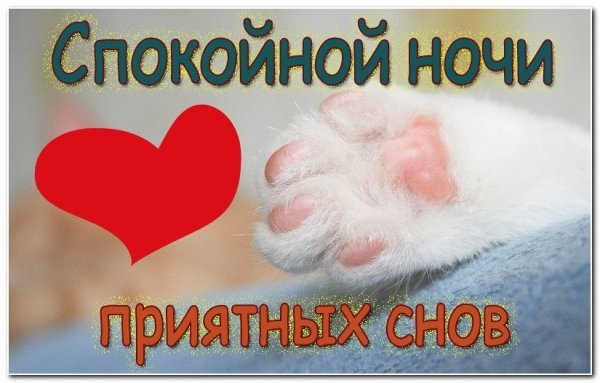 Спокойной ночи приятных снов