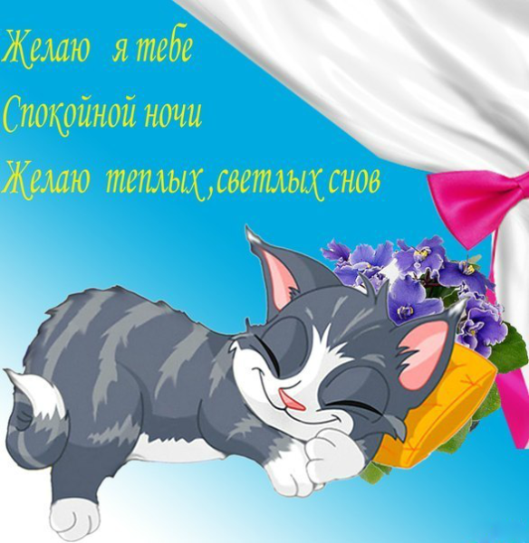 Спокойной ночи целую