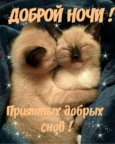 Спокойной ночи сладких снов