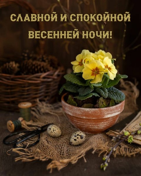Спокойной ночи весной