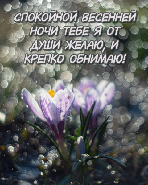 Картинки спокойной ночи весенние