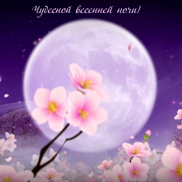 Ночь рисунок
