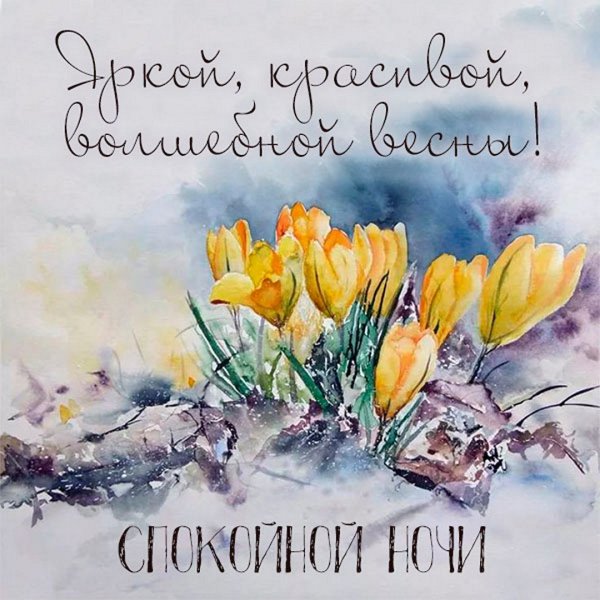 Доброго дня акварель с пожеланиями