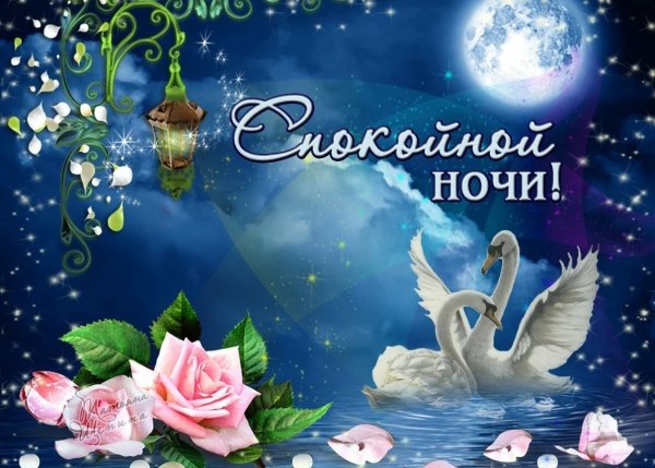 Красивые пожелания спокойной ночи