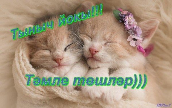 Спокойной ночи на татарском языке