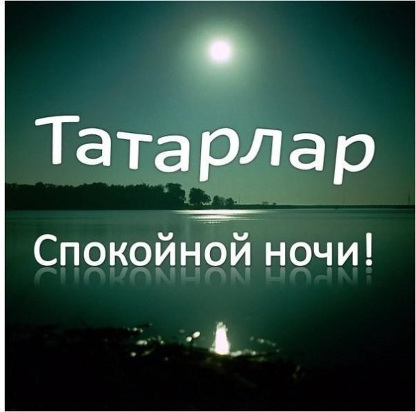 Спокойной ночи татары