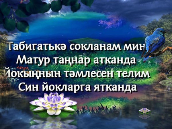 Спокойной ночи на татарском языке
