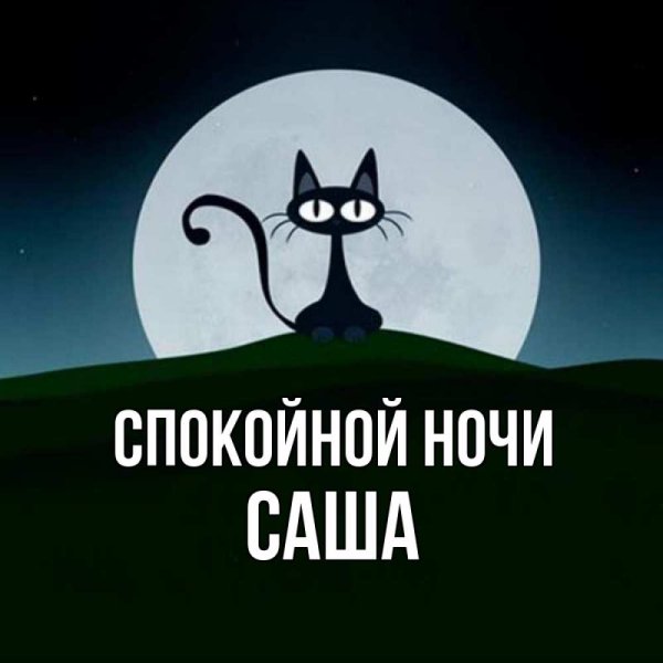 Спокойной ночи Сашенька