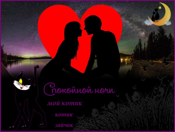 Доброй ночи любимый