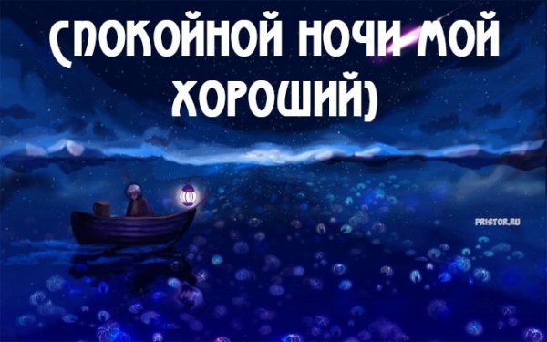 Спокойной ночи дорогой мой