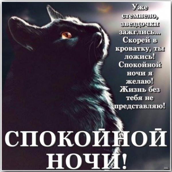 Смс на ночь любимому