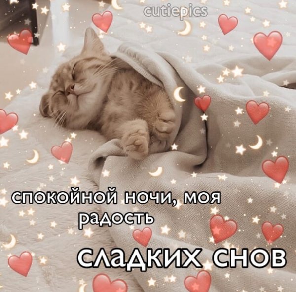 Сладких снов котик с сердечками