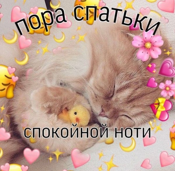 Спокойной ночи котики с сердечками