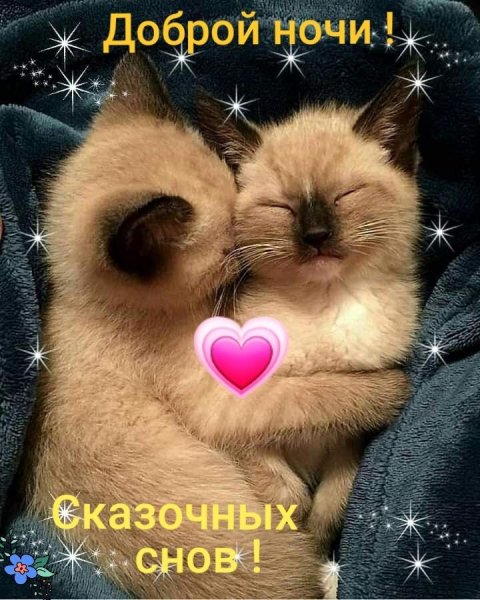 Пожелания спокойной ночи