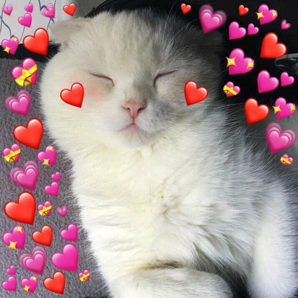 Котенок с сердечком