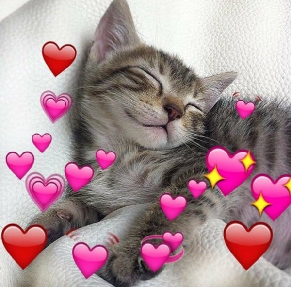 Спокойной ночи кот с сердечками