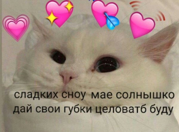 Котенок с сердечком