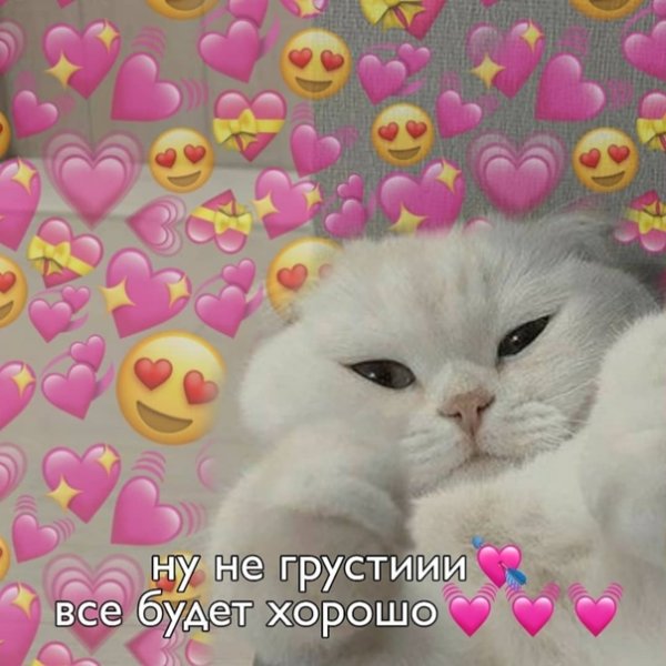 Сладких снов котик