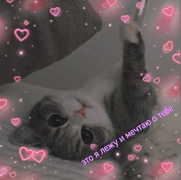 Милые пикчи с надписями