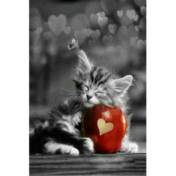 Милые котики спокойной ночи