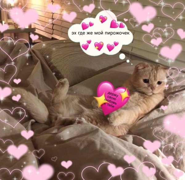 Любовные пикчи с котиками и сердечками