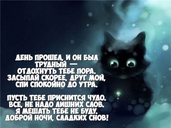 Пожелания на ночь прикольные