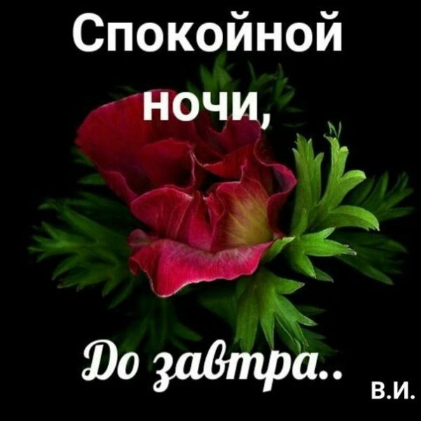 Спокойной ночи до завтра