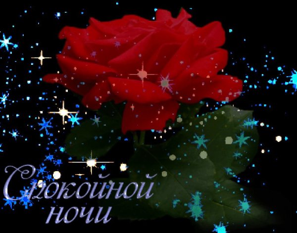 Открытки спокойной ночи с цветами