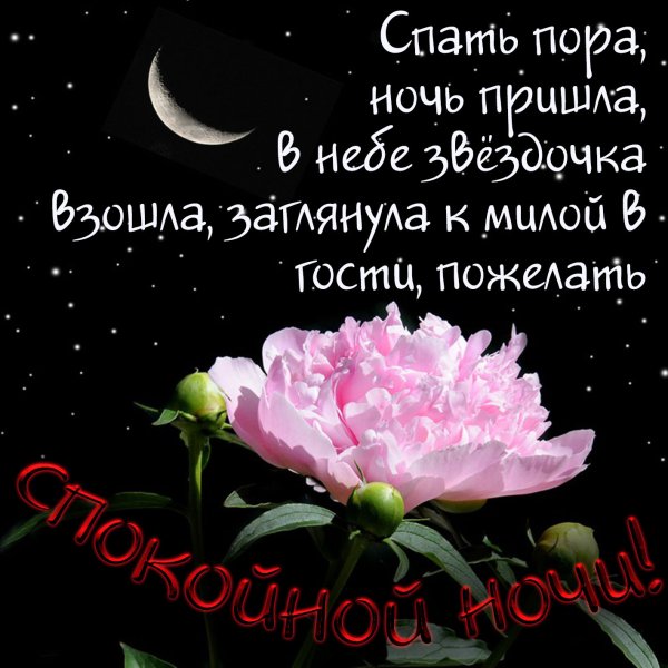 Пожелания спокойной ночи женщине красивые