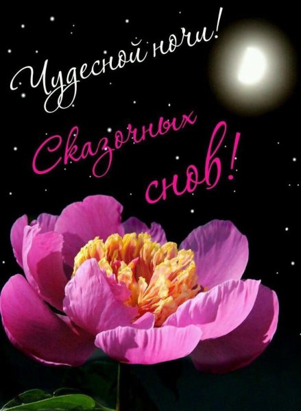 Спокойной ночи
