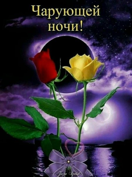 Спокойной ночи с цветами