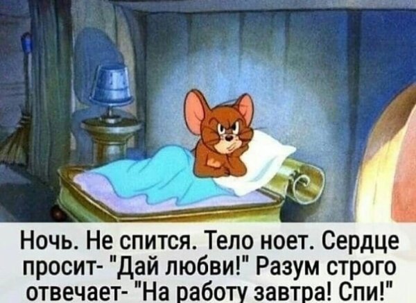 Кому не спится в ночь глухую