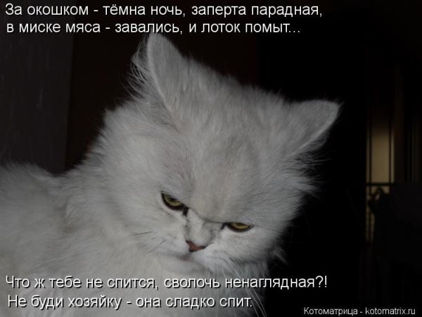 Не спится не спится