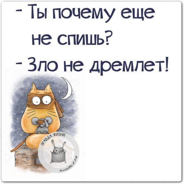 Высказывания о случайных встречах