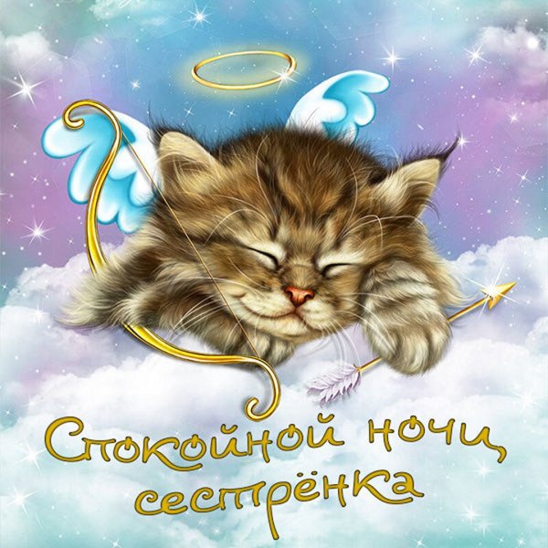 Спокойной ночи сестра