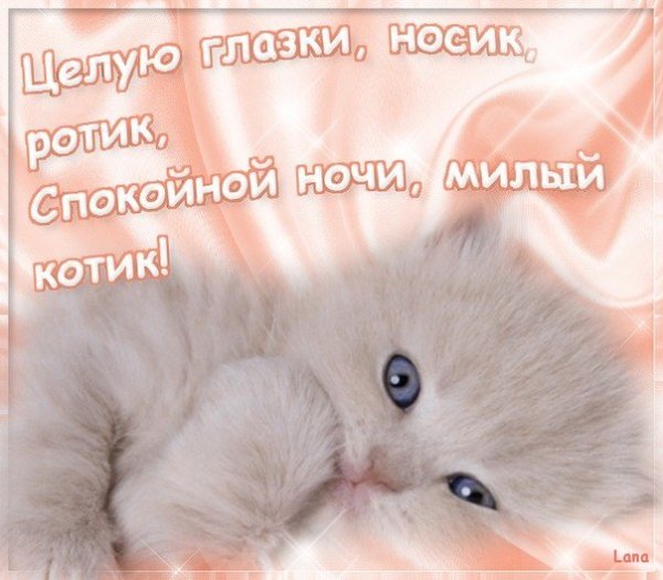 Спокойной ночкилюбимвц