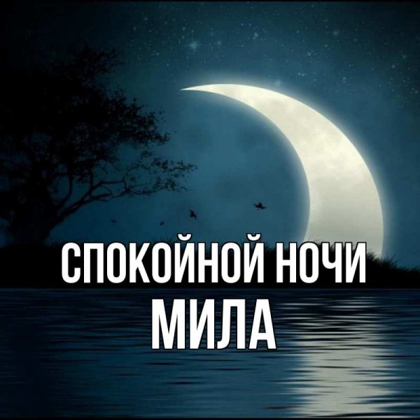 Спокойной ночи месяц