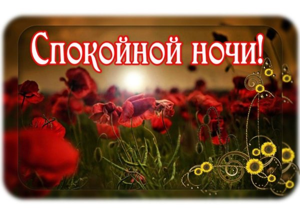 Спокойной ночи
