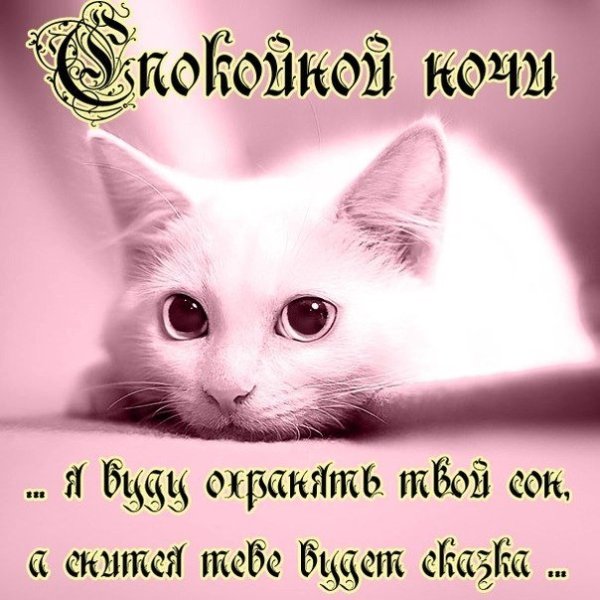 Пожелания спокойной ночи девушке
