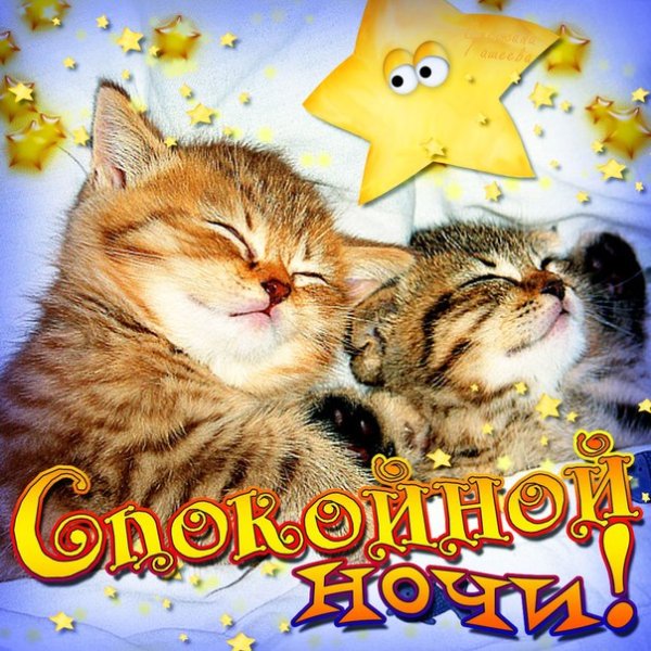 Пожелания спокойной но