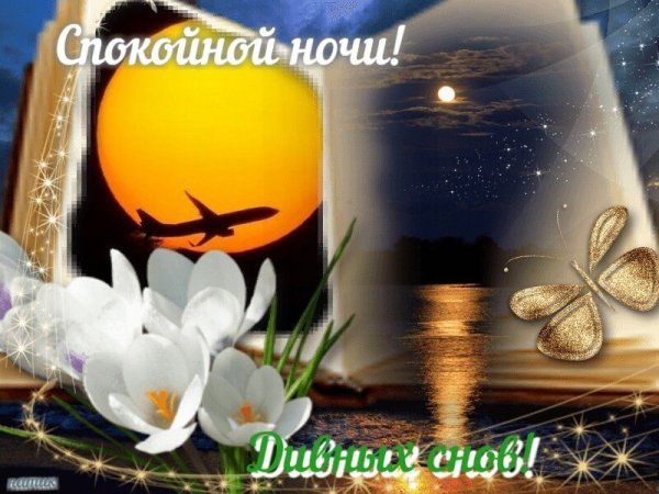 Пожелания доброго вечера и спокойной ночи