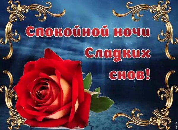 Цветы с пожеланием спокойной ночи