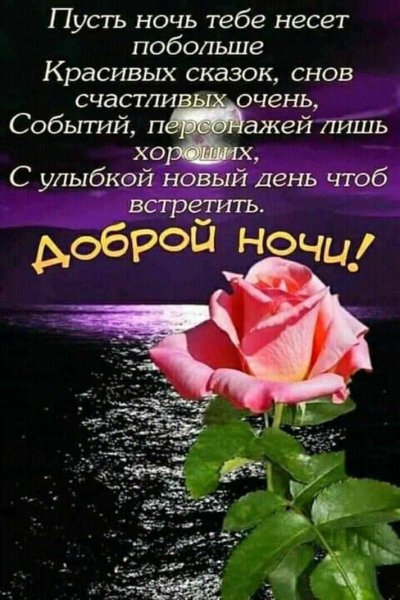 Спокойной ночи приятных снов