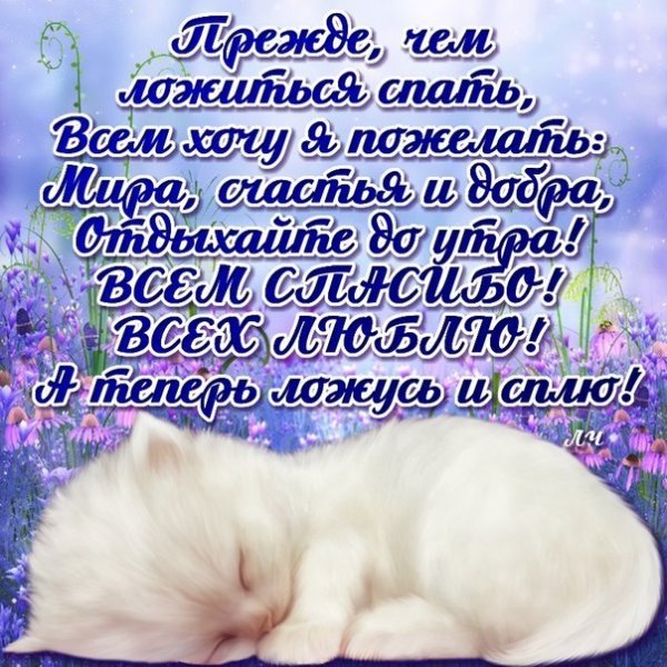 Доброй ночи сладких снов