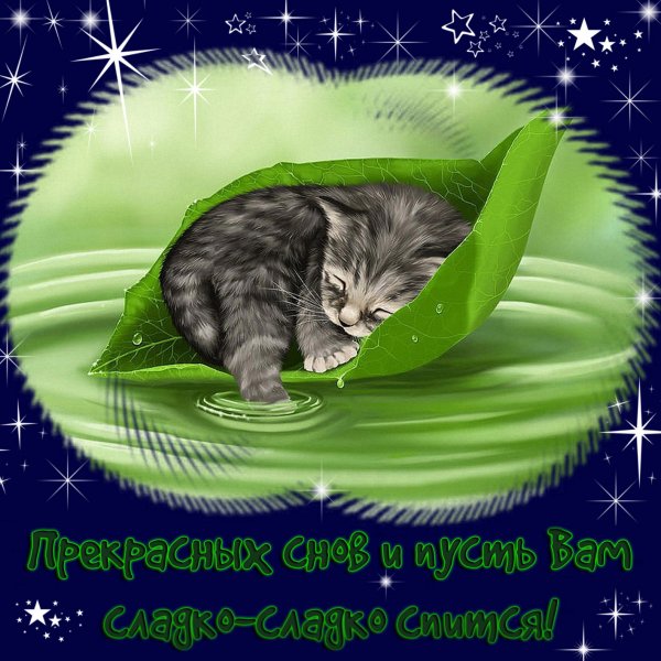 Пожелания спокойной ночи
