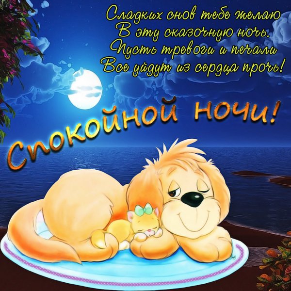 Спокойной ночи сладких снов