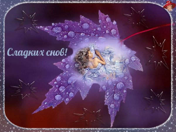 Доброй ночи сладких снов