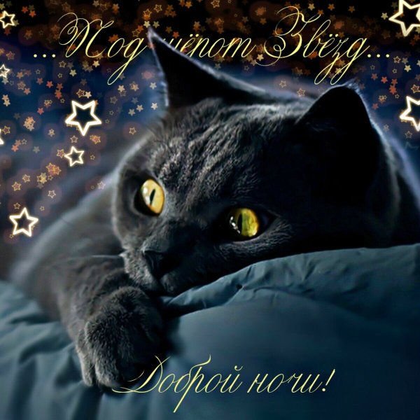Пожелания спокойной ночи